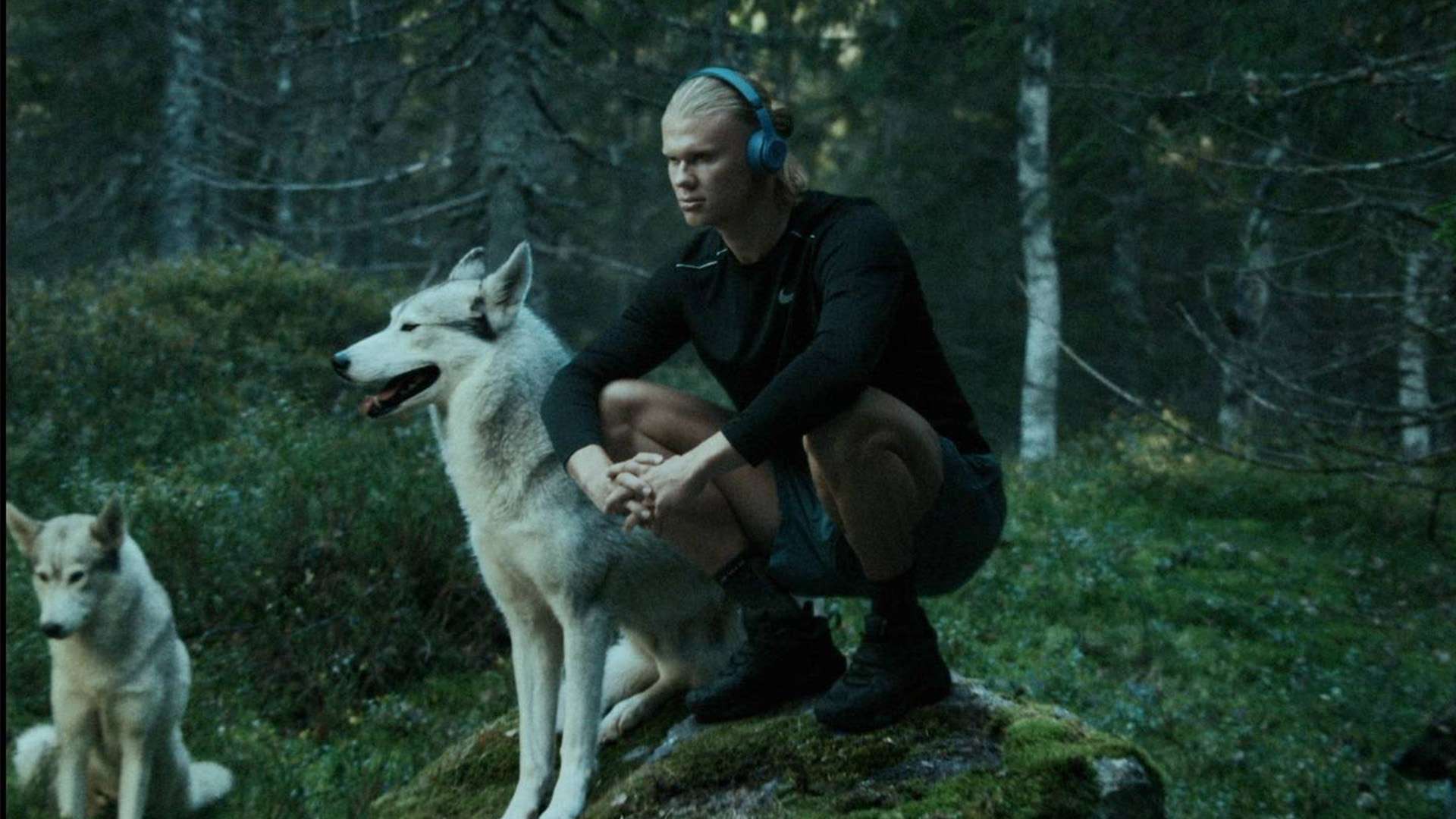 的高度需求 的高度需求