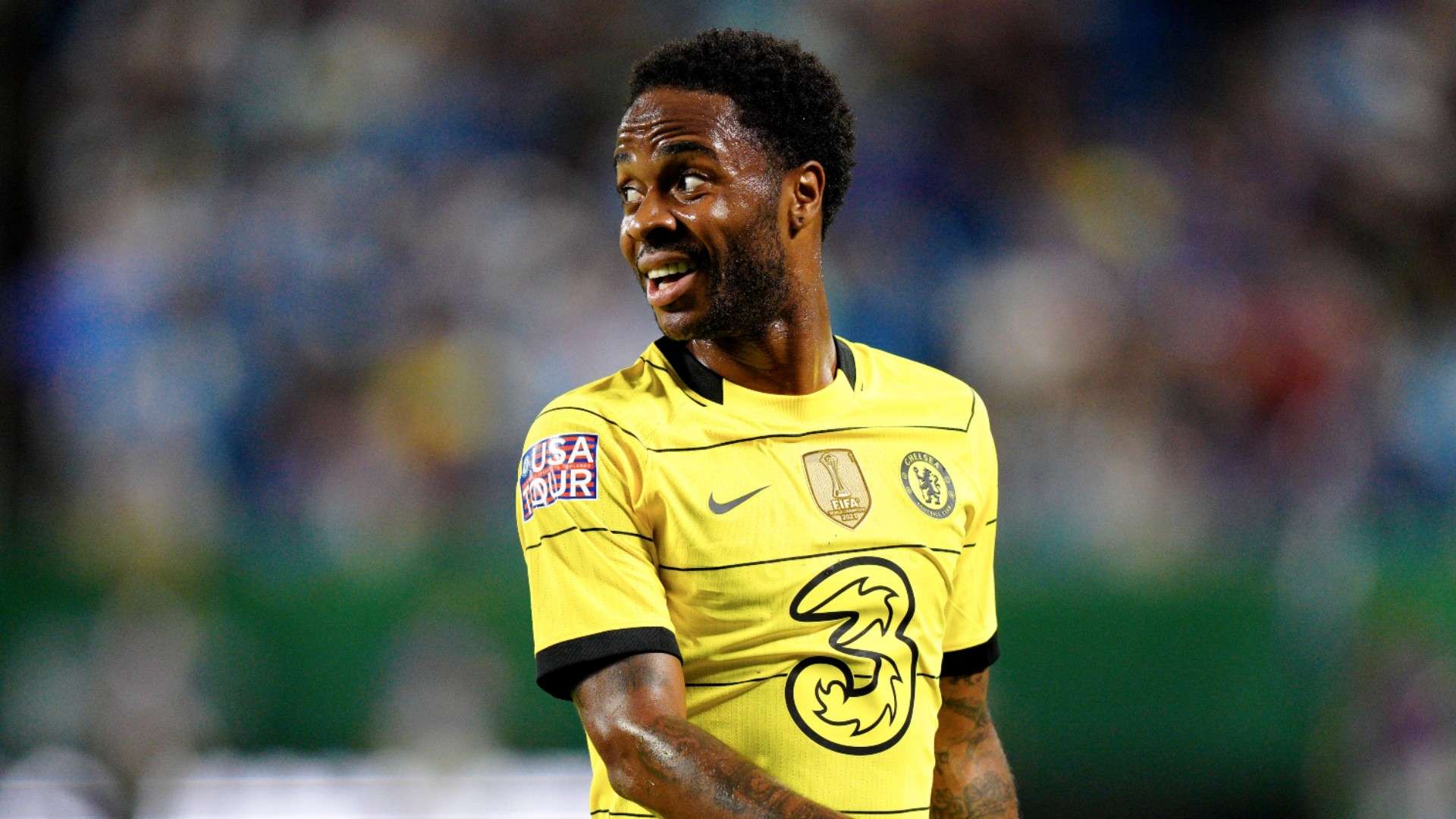 立起一座绿 立起一座绿